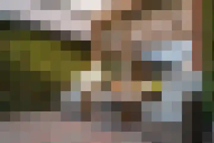Reinierastraat 6 Zevenaar thumbnail 24
