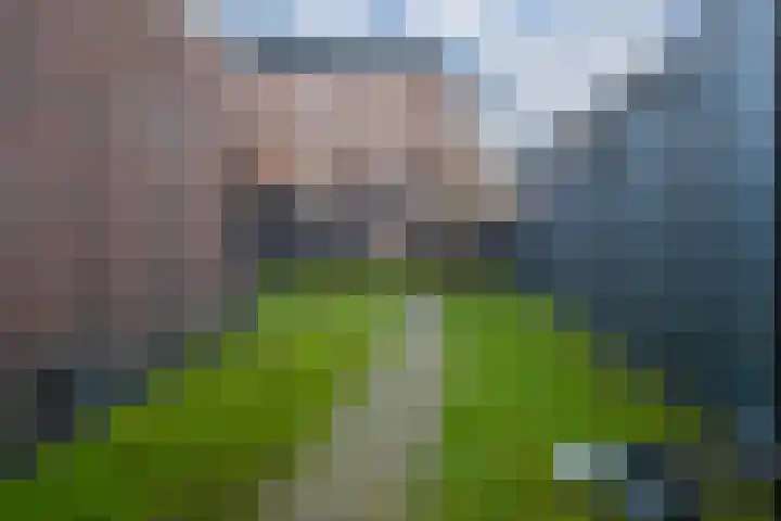 Reinierastraat 6 Zevenaar thumbnail 26