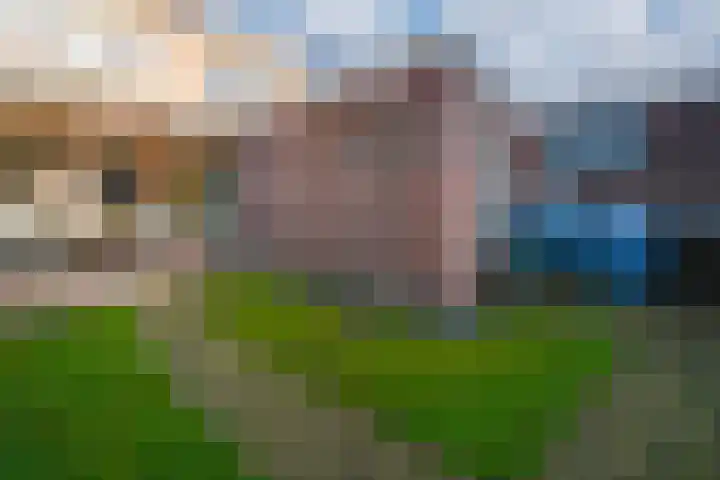 Reinierastraat 6 Zevenaar thumbnail 29