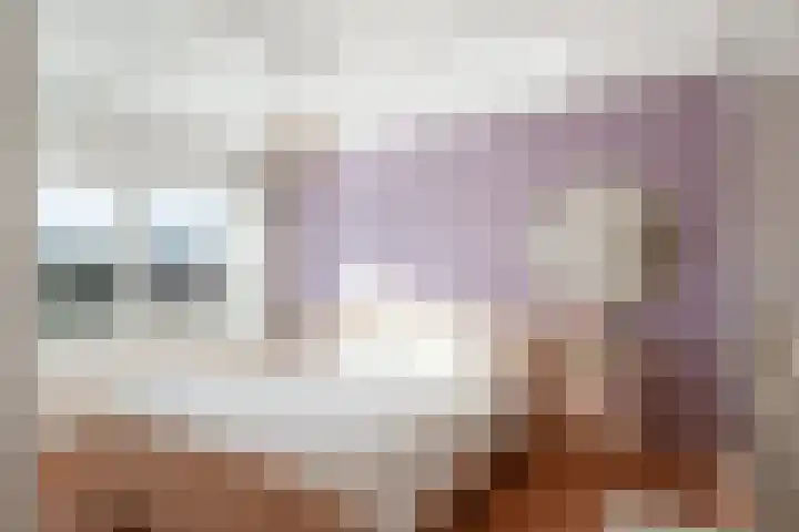 Reinierastraat 6 Zevenaar thumbnail 32