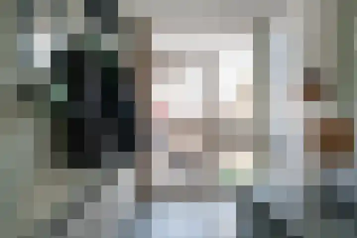 Reinierastraat 6 Zevenaar thumbnail 8