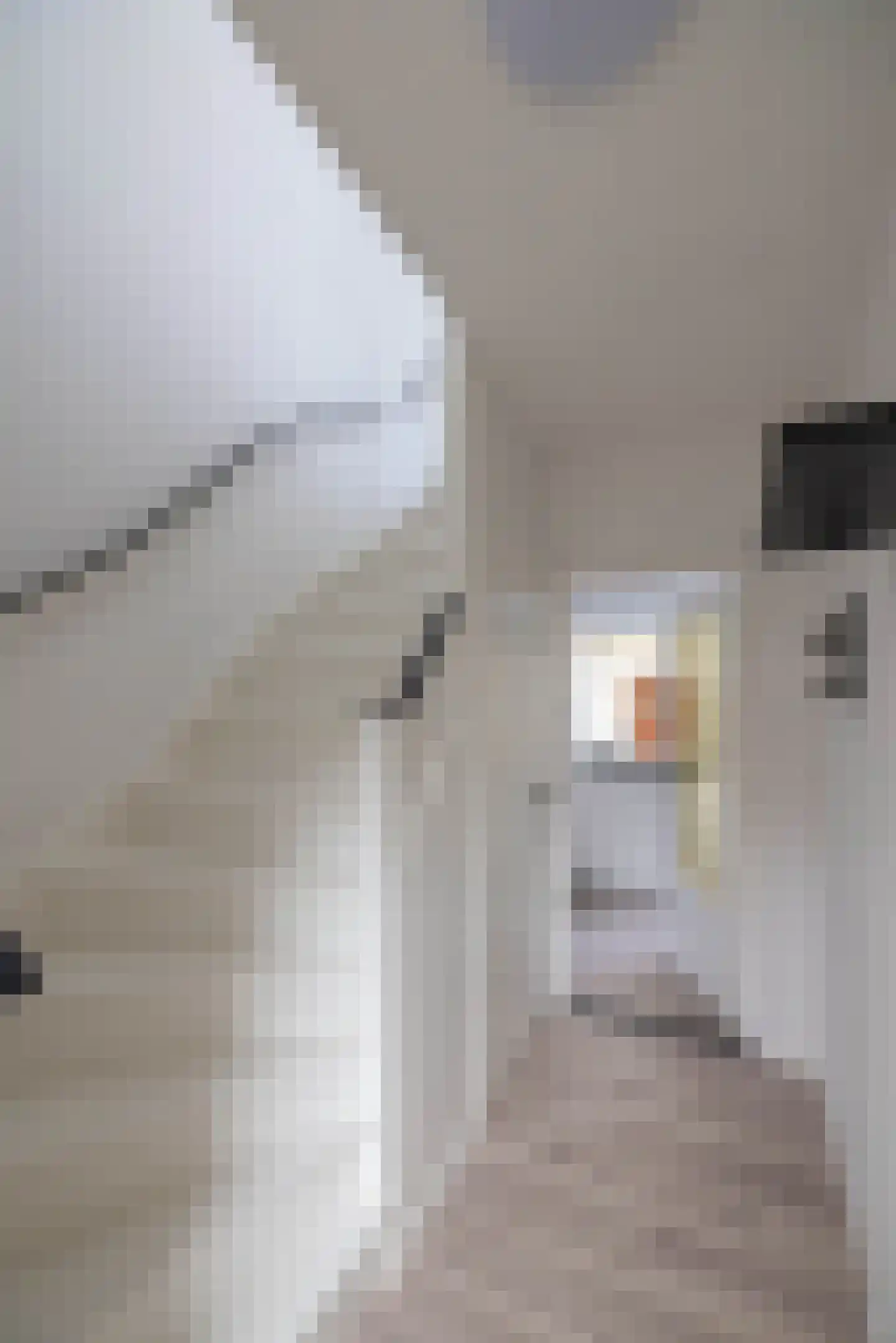 Reinierstraat 22 Hengelo thumbnail 11