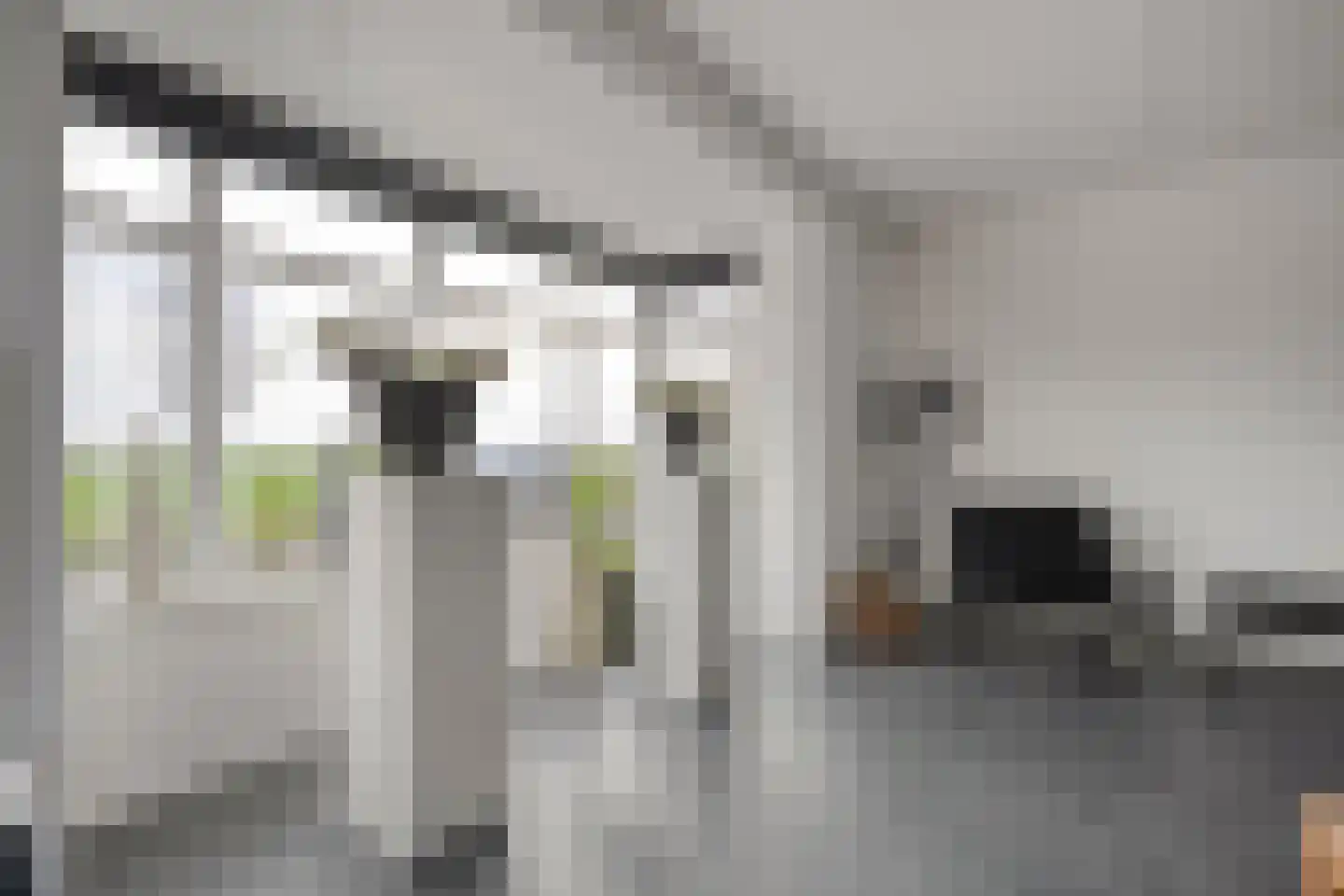 Reininkstraat 17 Balkbrug thumbnail 12