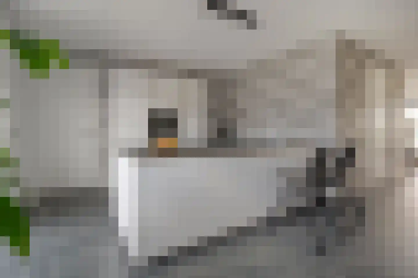 Reininkstraat 17 Balkbrug thumbnail 15
