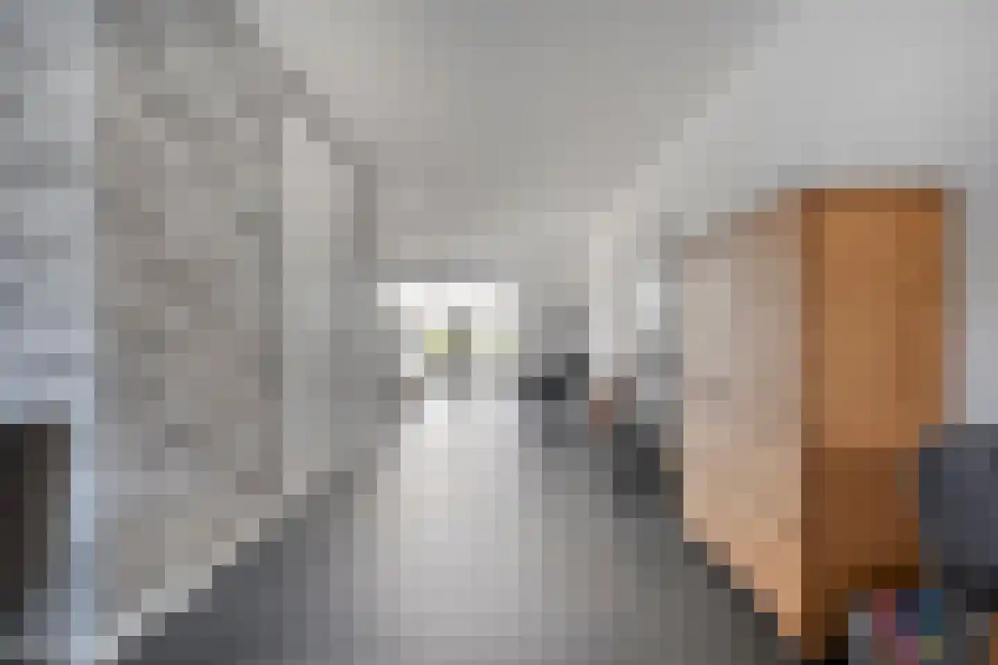 Reininkstraat 17 Balkbrug thumbnail 18