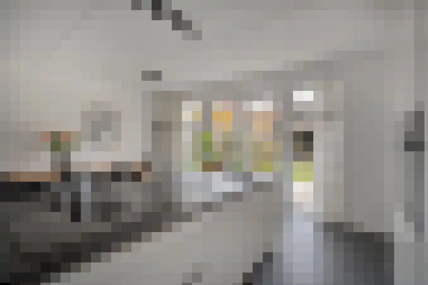 Reininkstraat 17 Balkbrug thumbnail 20