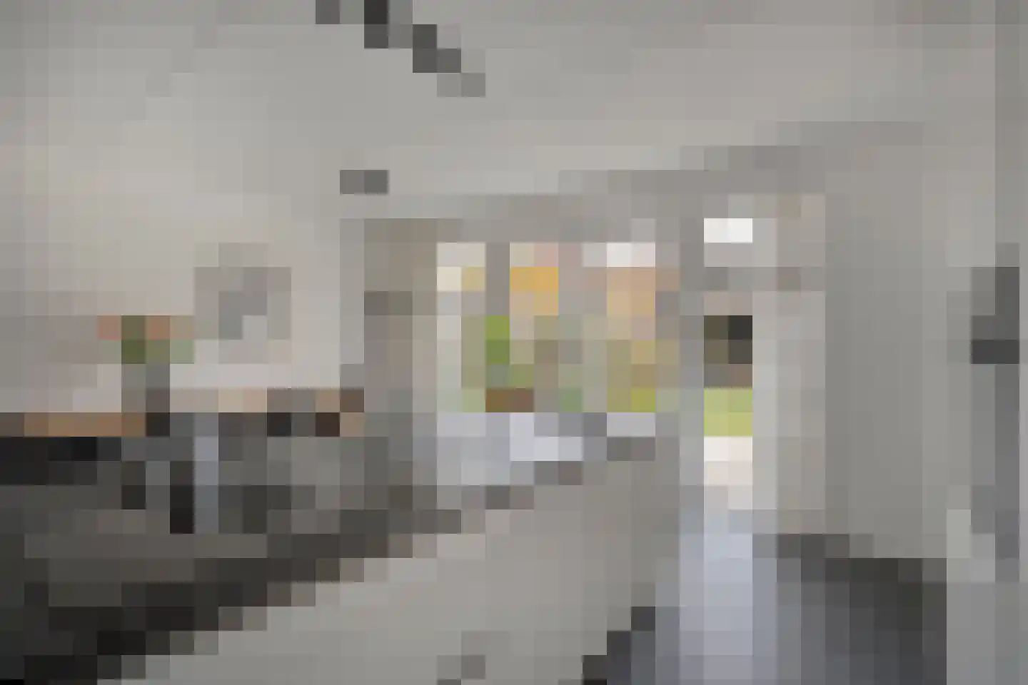 Reininkstraat 17 Balkbrug thumbnail 24