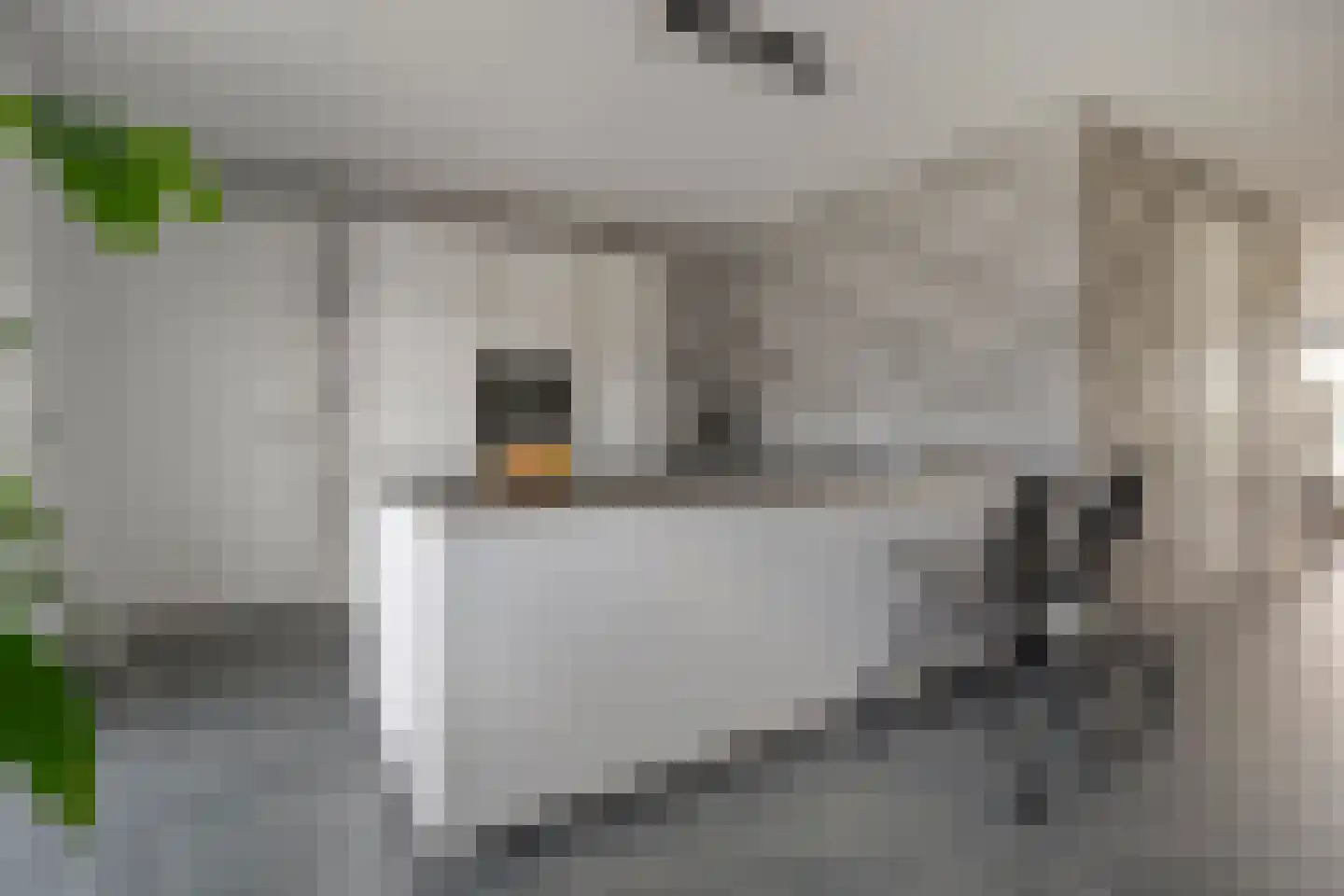 Reininkstraat 17 Balkbrug thumbnail 4