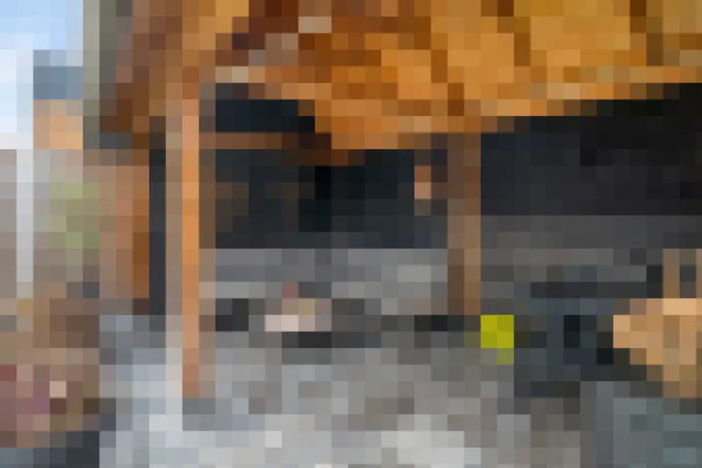 Reininkstraat 17 Balkbrug thumbnail 42