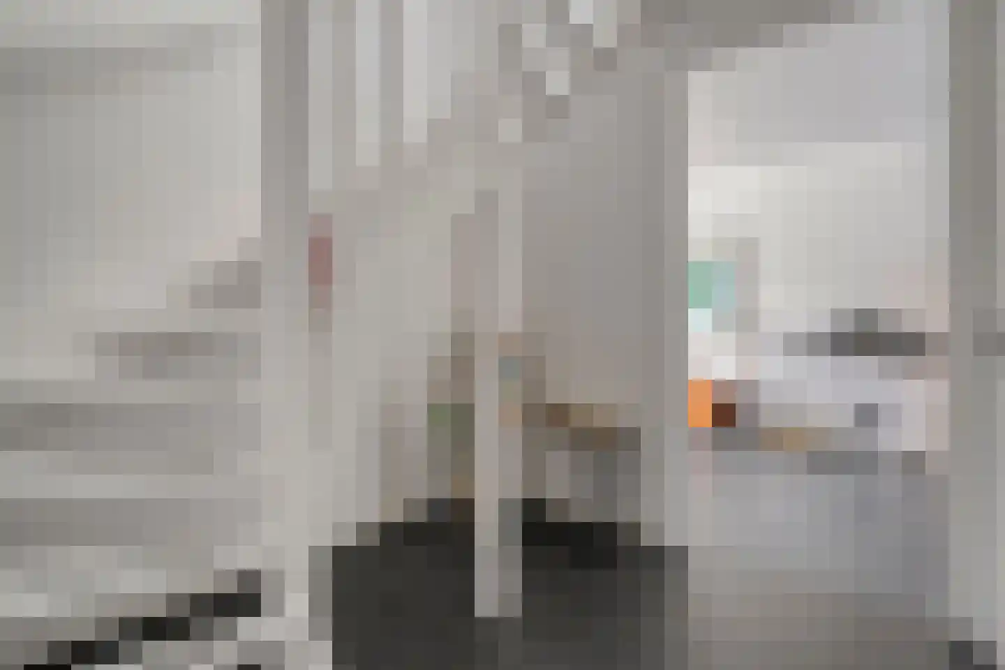 Reininkstraat 17 Balkbrug thumbnail 8