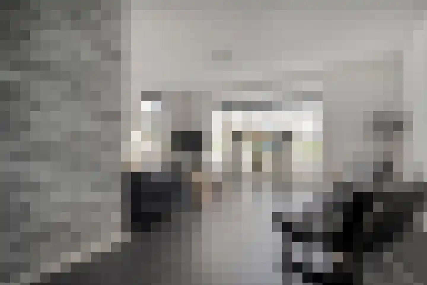 Reininkstraat 17 Balkbrug thumbnail 9