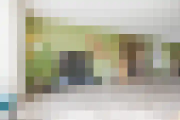 Reininkstraat 7 Balkbrug thumbnail 10