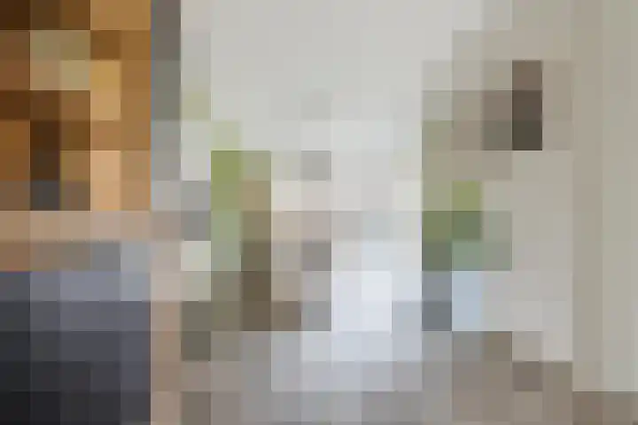 Reininkstraat 7 Balkbrug thumbnail 12