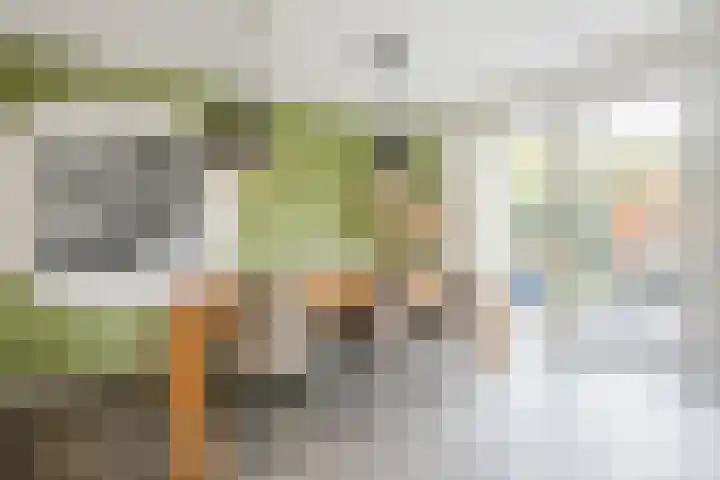 Reininkstraat 7 Balkbrug thumbnail 13