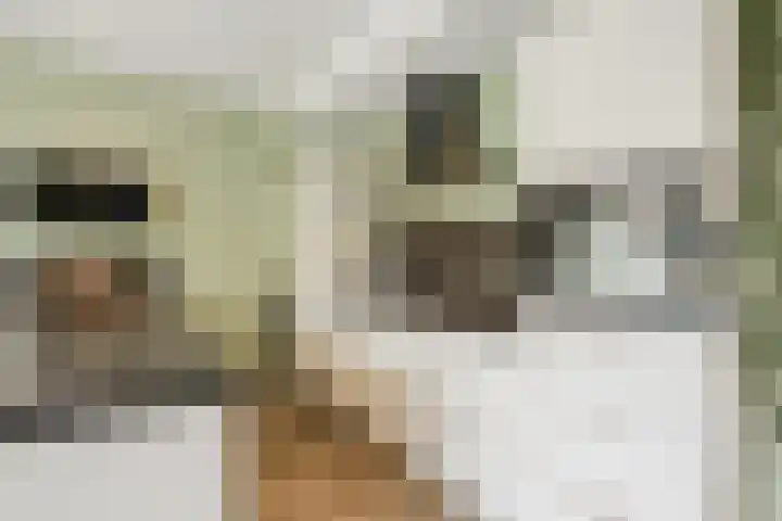 Reininkstraat 7 Balkbrug thumbnail 17