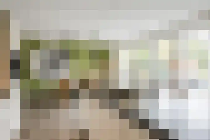 Reininkstraat 7 Balkbrug thumbnail 18