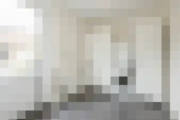 Reininkstraat 7 Balkbrug thumbnail 20