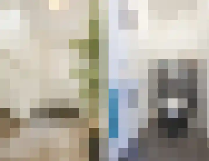 Reininkstraat 7 Balkbrug thumbnail 22