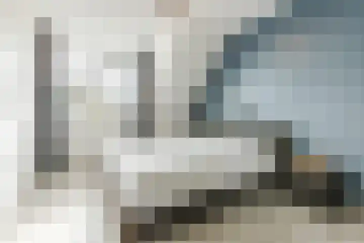 Reininkstraat 7 Balkbrug thumbnail 24