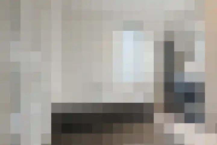 Reininkstraat 7 Balkbrug thumbnail 27