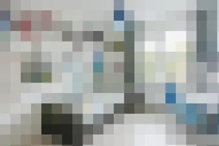Reininkstraat 7 Balkbrug thumbnail 31