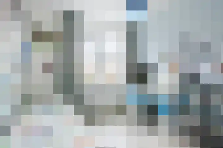 Reininkstraat 7 Balkbrug thumbnail 32
