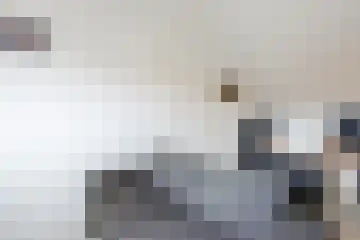 Reininkstraat 7 Balkbrug thumbnail 38