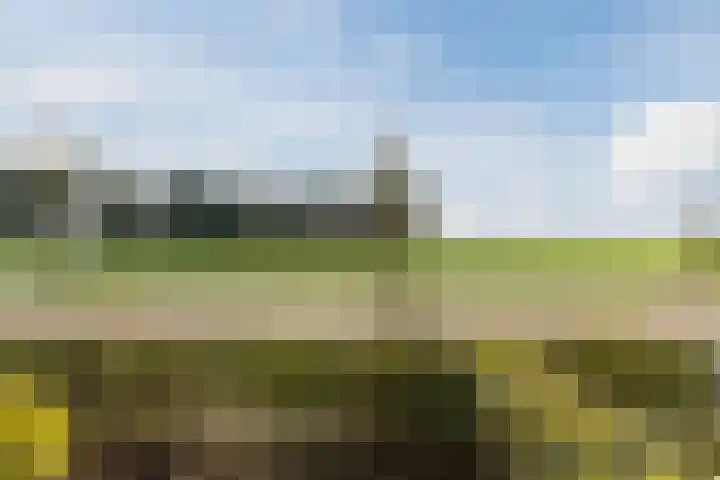 Reininkstraat 7 Balkbrug thumbnail 4