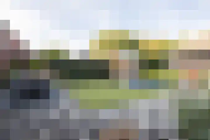 Reininkstraat 7 Balkbrug thumbnail 41
