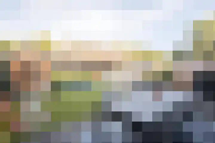 Reininkstraat 7 Balkbrug thumbnail 42