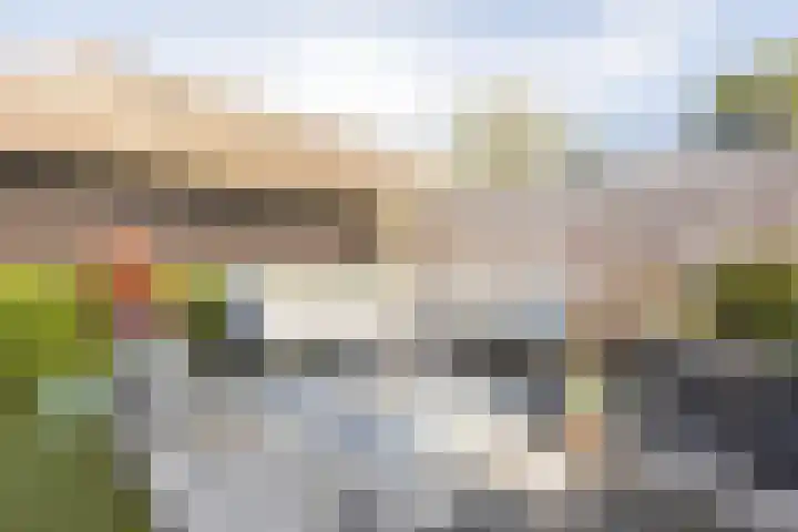 Reininkstraat 7 Balkbrug thumbnail 43