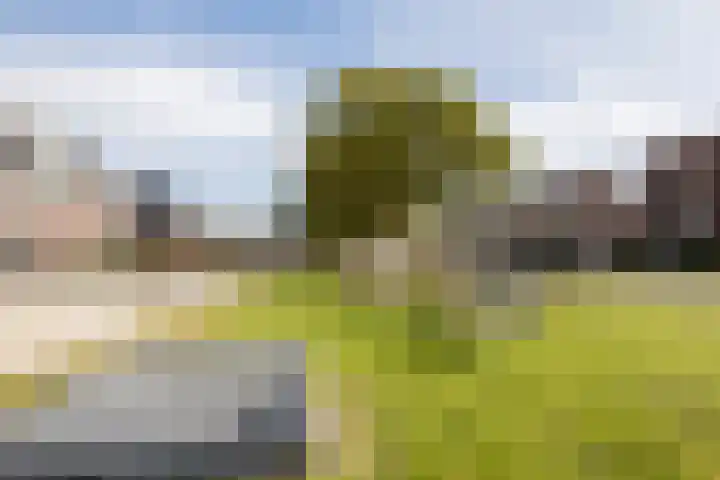 Reininkstraat 7 Balkbrug thumbnail 48