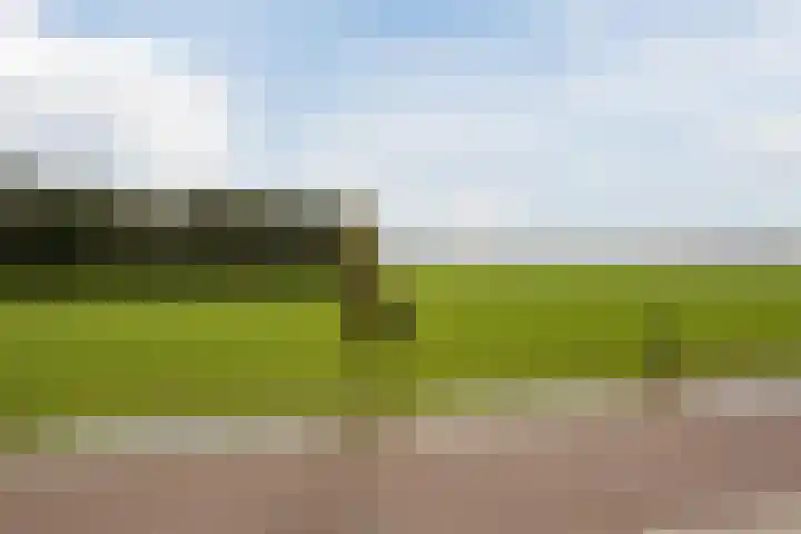 Reininkstraat 7 Balkbrug thumbnail 49