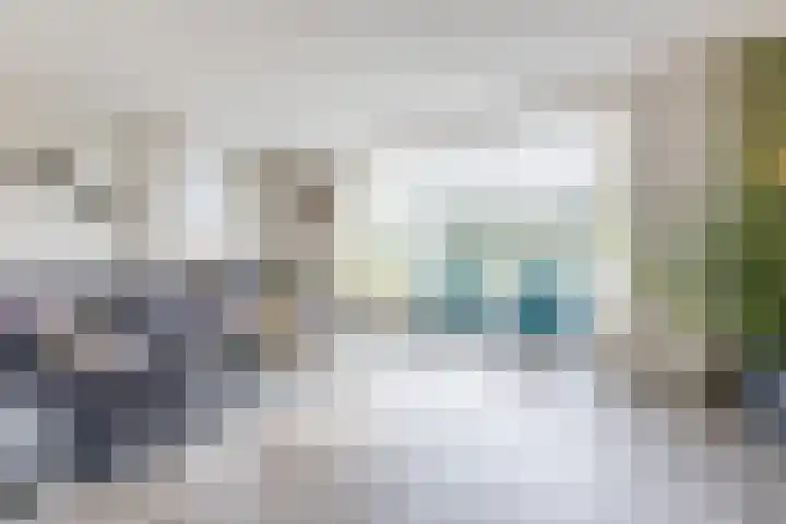 Reininkstraat 7 Balkbrug thumbnail 6