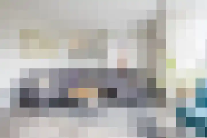 Reininkstraat 7 Balkbrug thumbnail 7