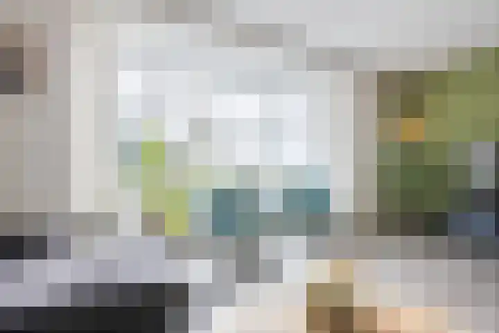 Reininkstraat 7 Balkbrug thumbnail 8