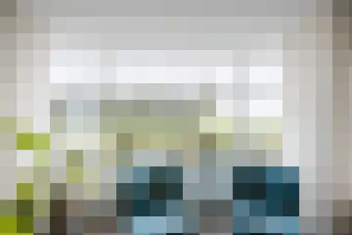 Reininkstraat 7 Balkbrug thumbnail 9