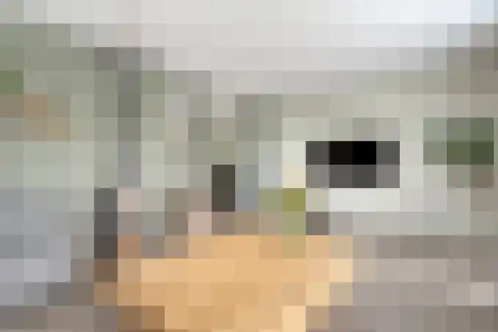 Reininkstraat 9 Balkbrug thumbnail 10
