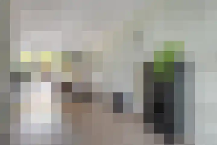 Reininkstraat 9 Balkbrug thumbnail 13