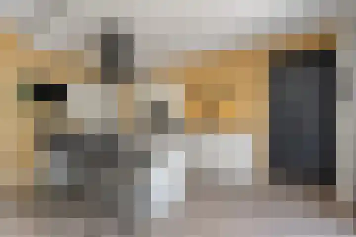 Reininkstraat 9 Balkbrug thumbnail 17