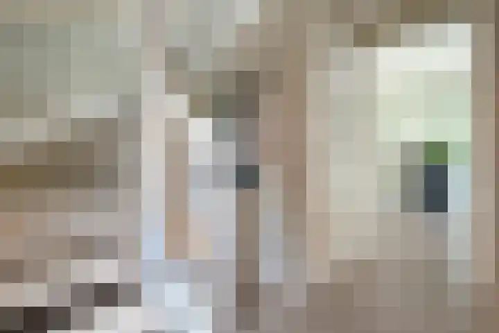 Reininkstraat 9 Balkbrug thumbnail 22