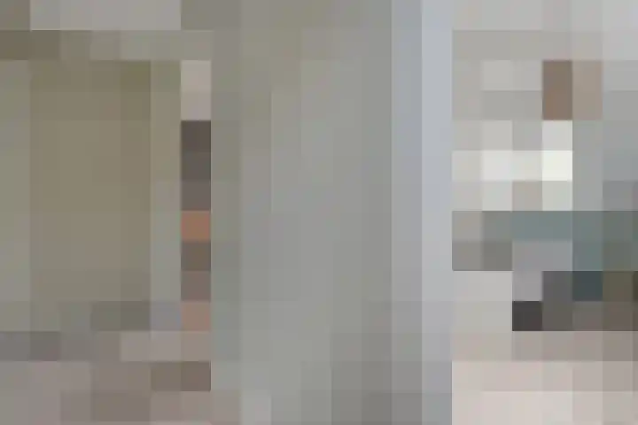 Reininkstraat 9 Balkbrug thumbnail 23