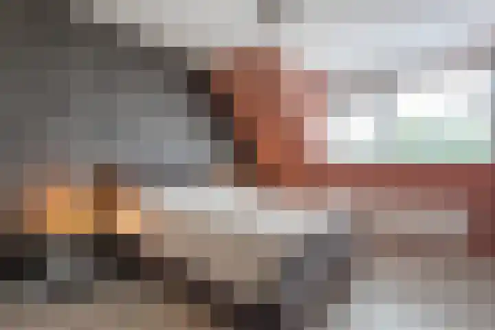 Reininkstraat 9 Balkbrug thumbnail 28