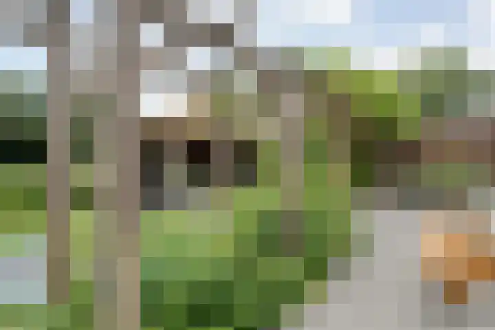 Reininkstraat 9 Balkbrug thumbnail 37