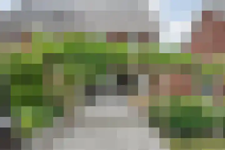 Reininkstraat 9 Balkbrug thumbnail 38