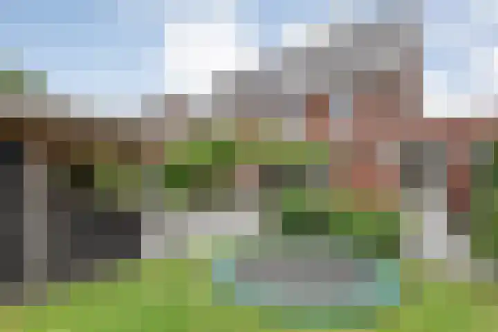 Reininkstraat 9 Balkbrug thumbnail 4