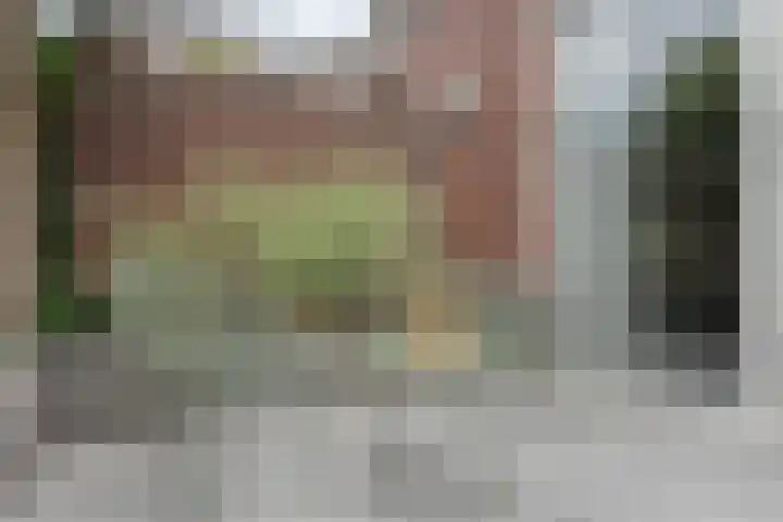 Reininkstraat 9 Balkbrug thumbnail 40