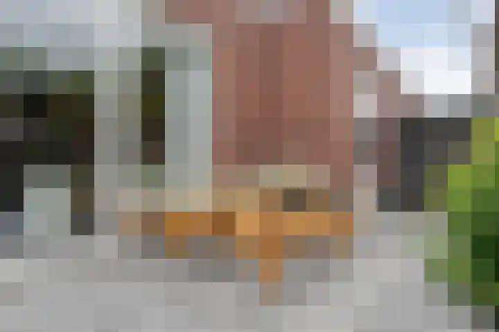 Reininkstraat 9 Balkbrug thumbnail 41