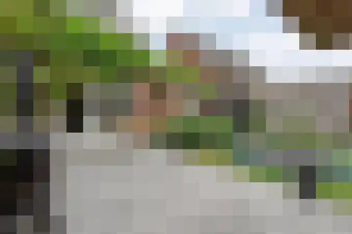 Reininkstraat 9 Balkbrug thumbnail 44