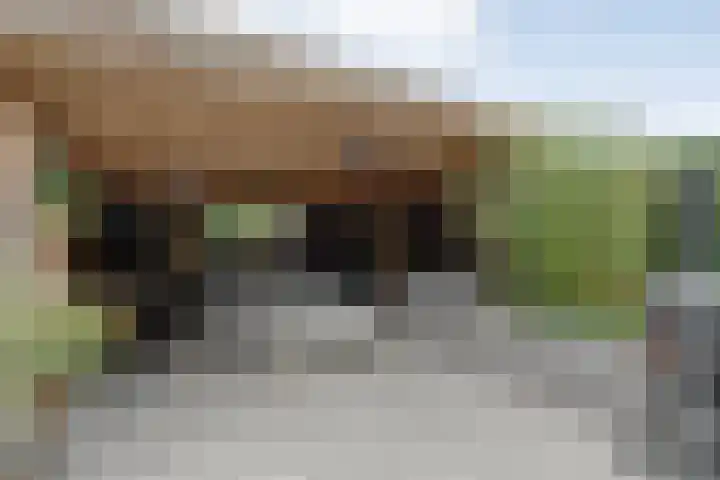 Reininkstraat 9 Balkbrug thumbnail 5